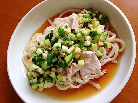 山形の夏の名物！「だし」のせ冷しゃぶうどん